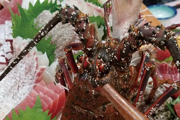 伊勢海老のコース料理